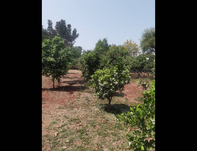 5 BEDROOM HOUSE FOR SALE IN MOKOPANE CENTRAL